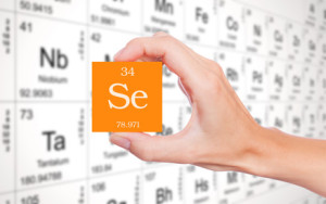 Selenium symbol handheld, too much is bad for deer herds in front of the periodic table